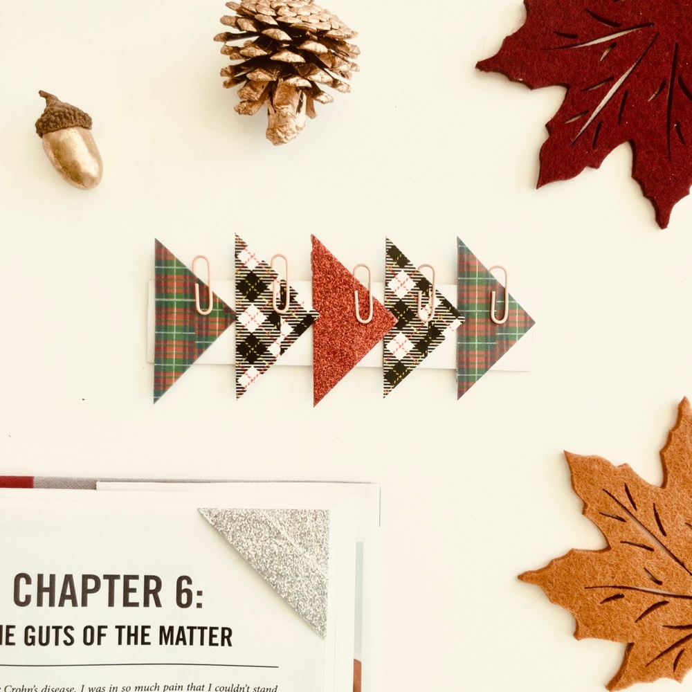Set of 5 bookmarks- red